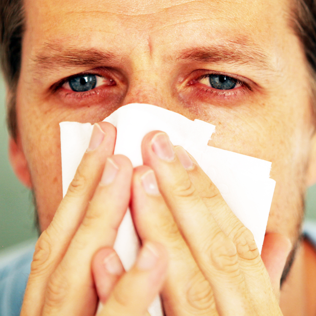 Pollen Kontaktlinser