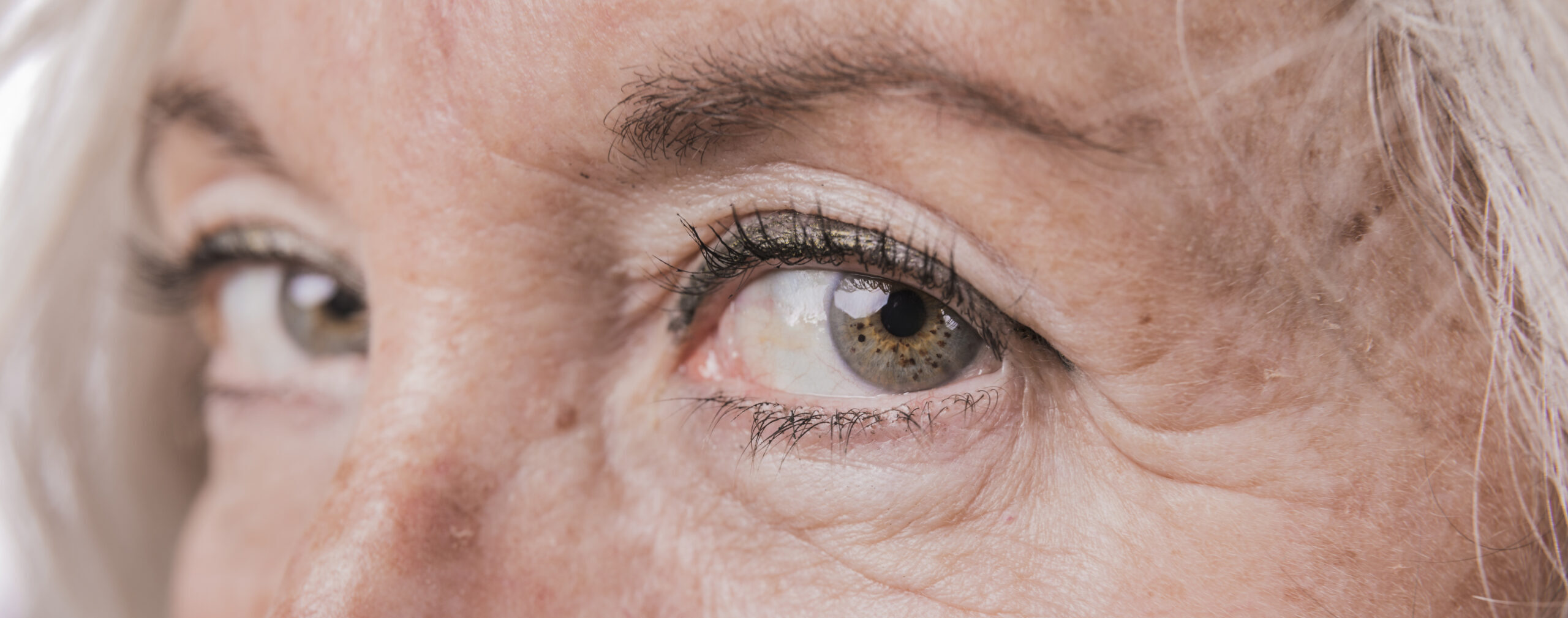 Synnerven – vad är den och vilken funktion har den?